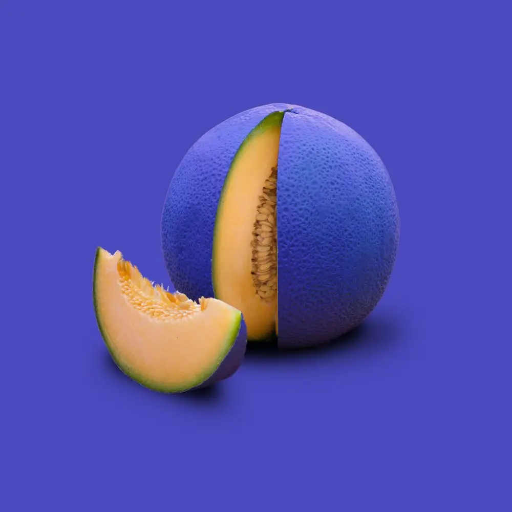 phi phi photographer